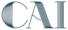 thecaistore.com