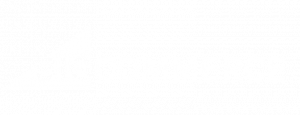 BigCommerce logo
