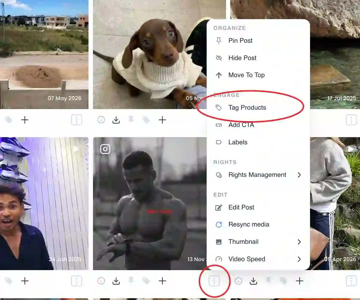 Tag Products option under the Engage section