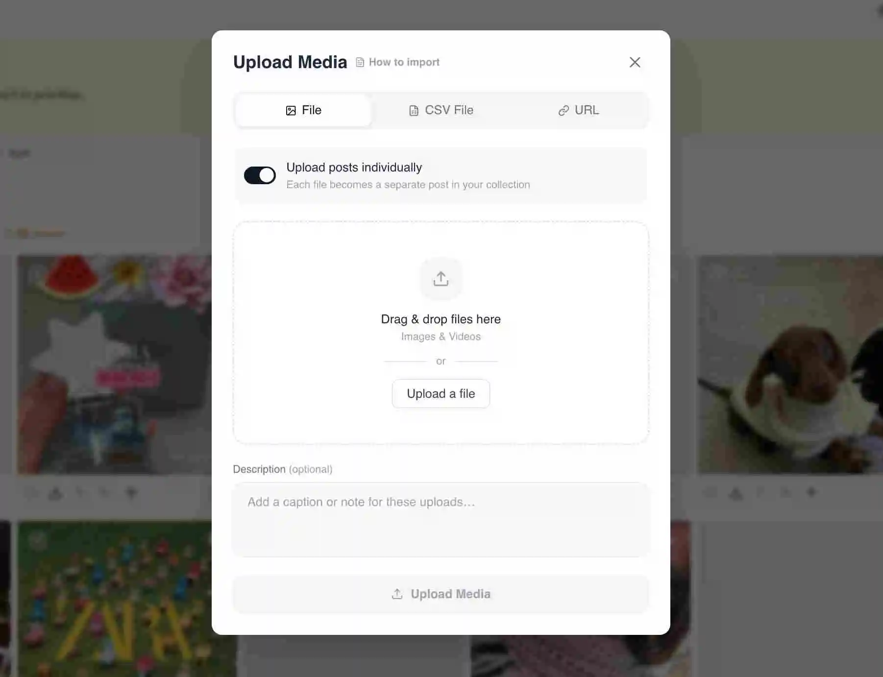 The Upload Media dialog header with the How to import link