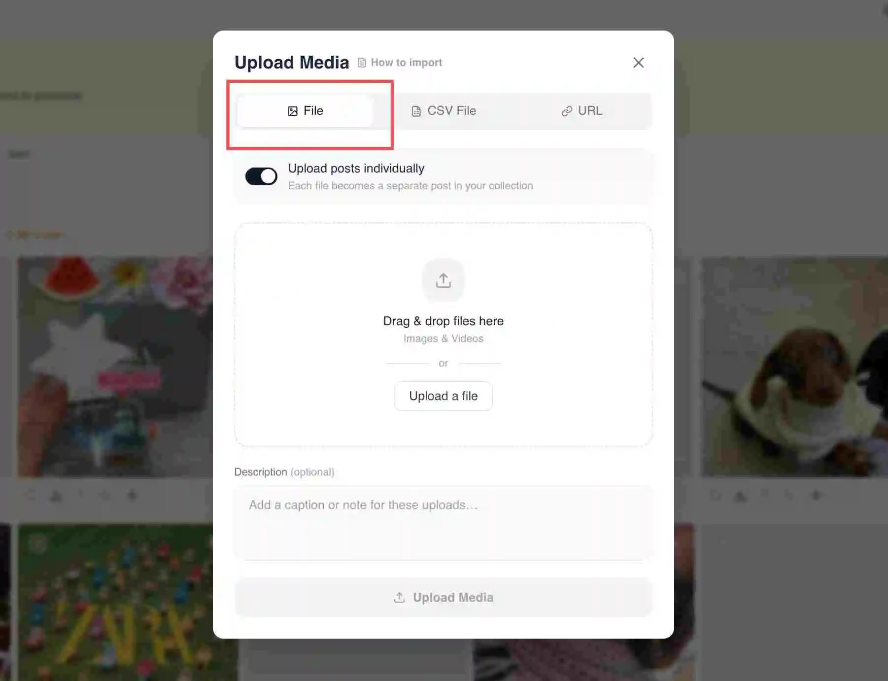 File, CSV File and URL tabs at the top of the Upload Media dialog